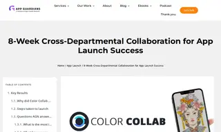 Preview of the Color Collab Case Study
