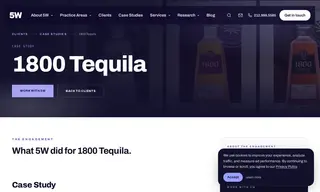 Preview of the 1800 Tequila Case Study
