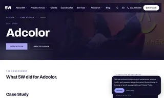 Preview of the ADCOLOR Case Study
