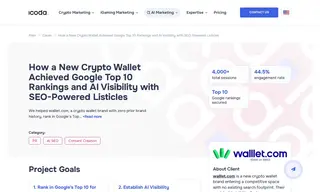 Preview of the Walllet.com Case Study