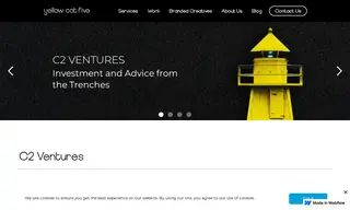 Preview of the C2 Ventures Case Study