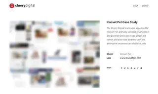 Preview of the Innovet Pet Case Study