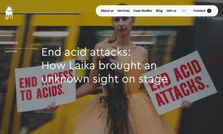 Preview of the ASTI – Acid Survivors Trust International Case Study