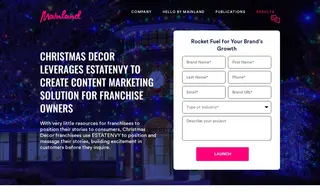 Preview of the Christmas Decor﻿ Case Study