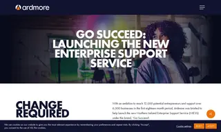 Preview of the Northern Ireland Enterprise Support Service (niess) Case Study