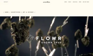 Preview of the Flowr Case Study