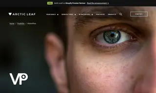 Preview of the VisionPros Case Study