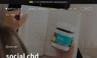 Preview of the Social CBD Case Study