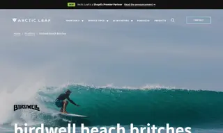 Preview of the Birdwell Beach Britches Case Study