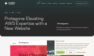 Preview of the Protagona Case Study