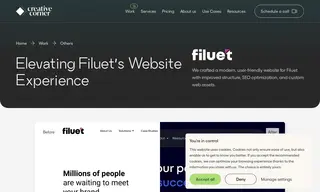 Preview of the Filuet Case Study