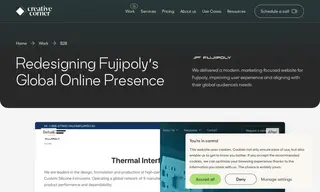 Preview of the Fujipoly (Client: FujiPoly) Case Study