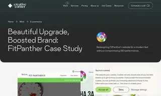 Preview of the Fit Panther Case Study