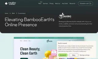 Preview of the BamboEarth Case Study