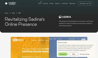 Preview of the Sadina Case Study
