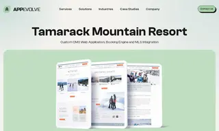 Preview of the Tamarack Mountain Resort Case Study