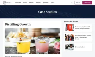 Preview of the Bicultural Hispanic Consumers Case Study