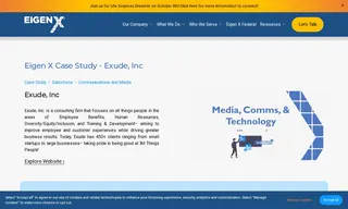 Preview of the Exude, Inc Case Study