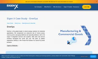 Preview of the EnerSys Case Study