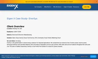 Preview of the EnerSys Case Study