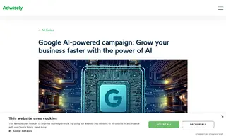 Preview of the Shopify Stores Case Study
