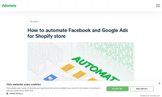 Preview of the Shopify Store Owners Case Study