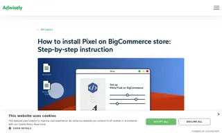 Preview of the BigCommerce Case Study