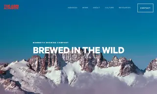 Preview of the Mammoth Brewing Company Case Study