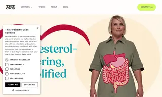 Preview of the Benecol (Raisio Group) Case Study