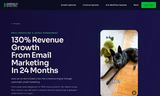 Preview of the Loving Pets Case Study