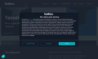 Preview of the Tesselate Group Case Study