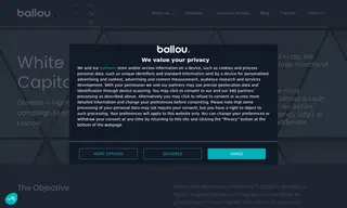 Preview of the White Star Capital Case Study