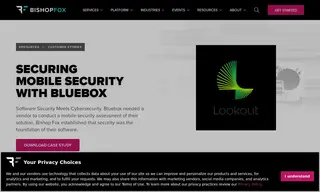 Preview of the BlueBox Case Study