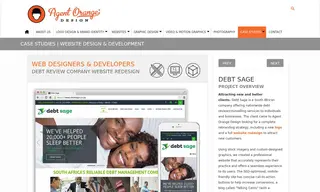 Preview of the Debt Sage Case Study