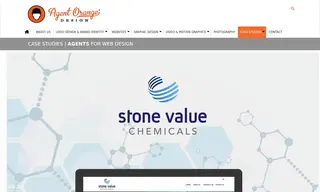 Preview of the Stone Value Chemicals Case Study