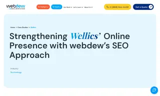 Preview of the Wellics Case Study