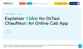 Preview of the DZ Taxi Chauffeur Case Study