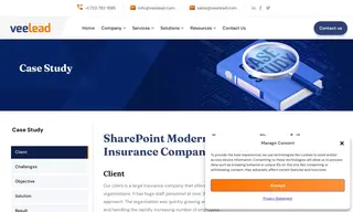 Preview of the large insurance company Case Study