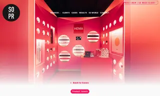 Preview of the Hema Case Study