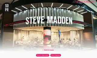Preview of the Steve Madden Case Study