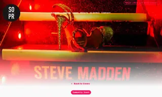 Preview of the Steve Madden Case Study