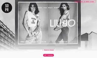 Preview of the Liu Jo Case Study