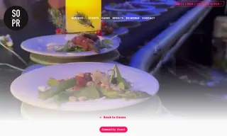 Preview of the Lidl Case Study