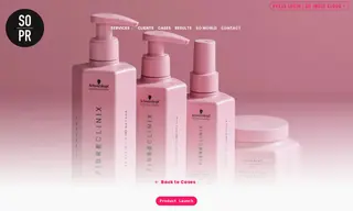 Preview of the Schwarzkopf Case Study