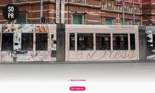 Preview of the LaDress Case Study