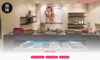 Preview of the Repeat Cashmere Case Study