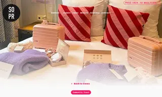 Preview of the Maison ELLE Amsterdam Case Study