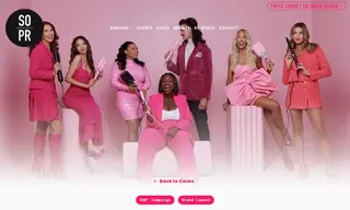 Preview of the Mermade Hair Case Study