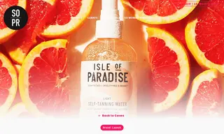 Preview of the Isle of Paradise Case Study