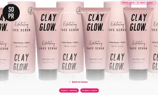 Preview of the Clay And Glow Case Study